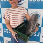 Bazar da Receita 19